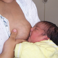 Curso Virtual de Lactancia Materna 2019